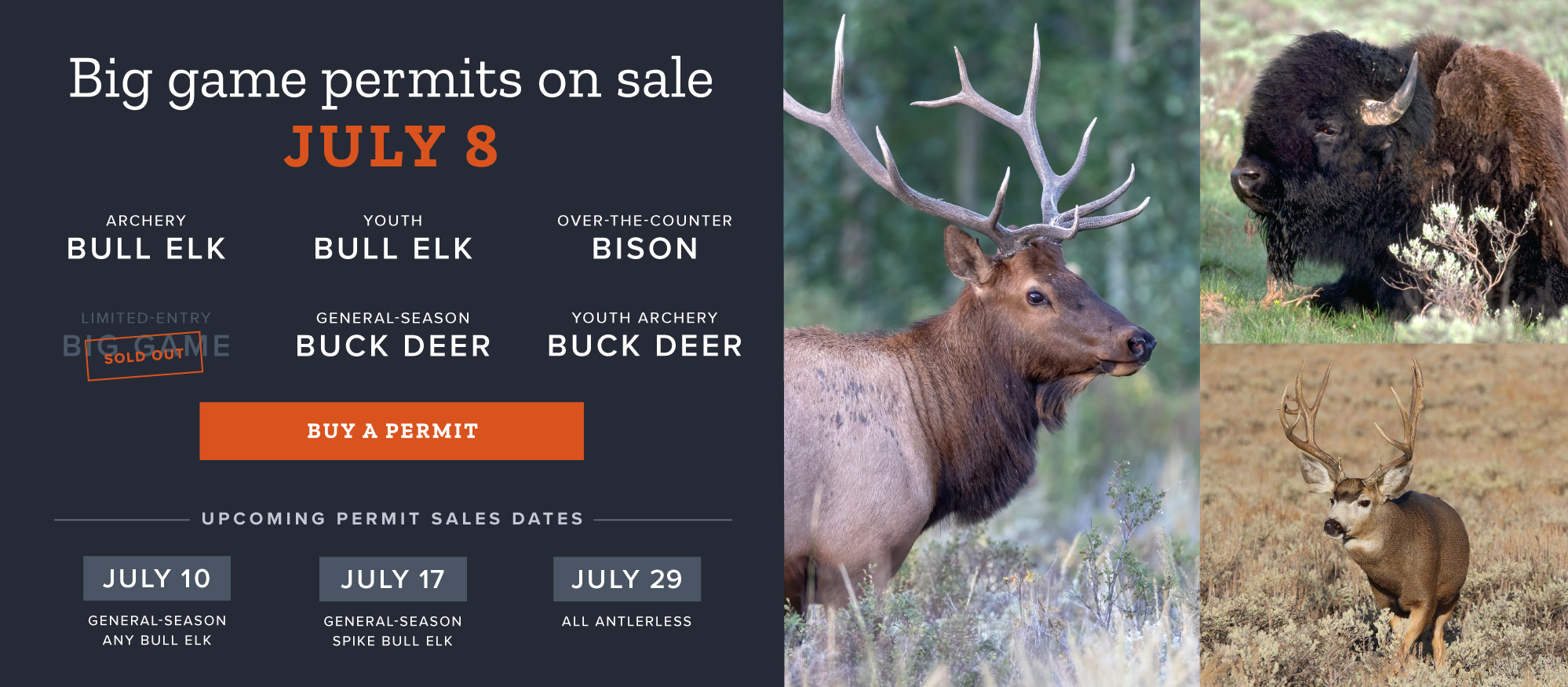 Big game permits on sale July 8
