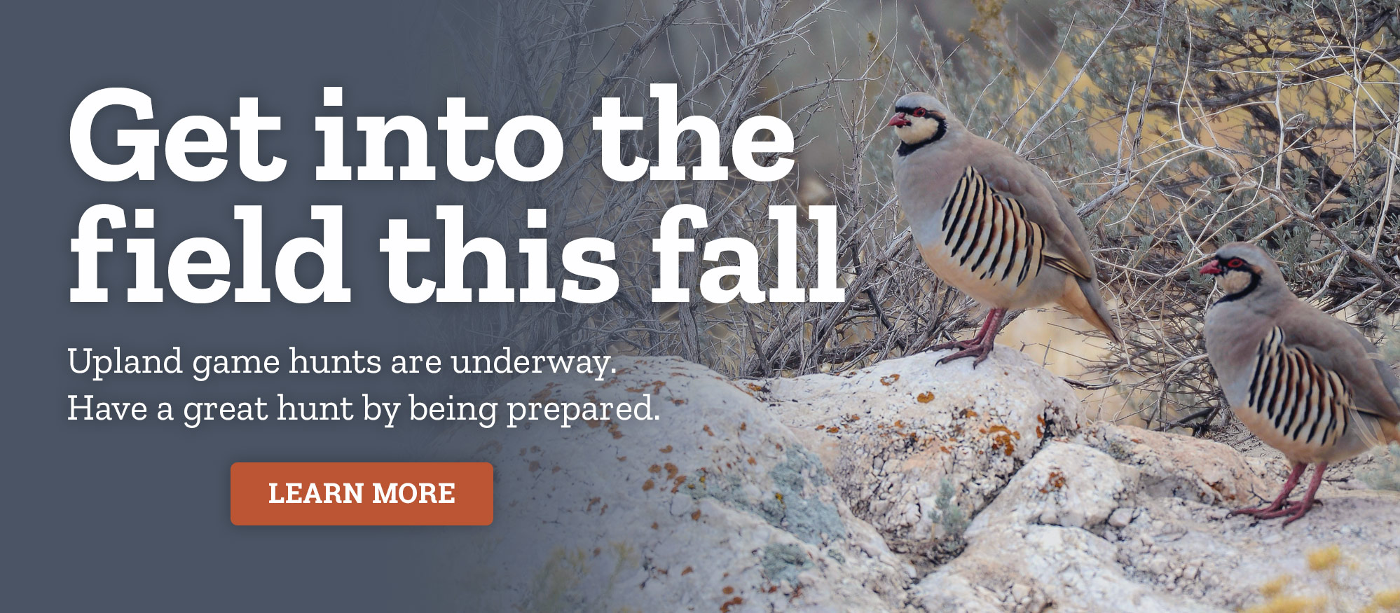 Upland game hunts are underway. Have a great hunt by being prepared.