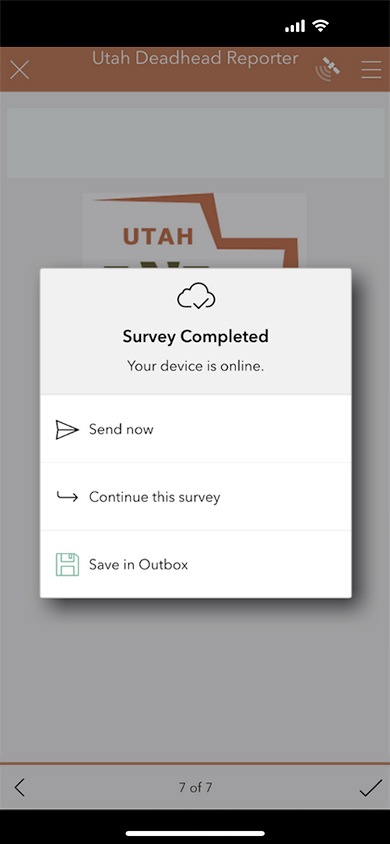 iOS screen shot of Utah Deadhead Reporter app, send now screen