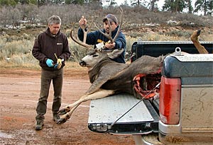 Getting a deer checked for CWD at a DWR check station