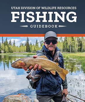 Learn to fish: casting line and catching fish