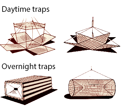 The Trap Man Crayfish Traps are multi catch repeating traps that