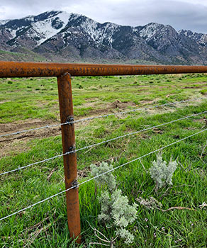 Wildlife-friendly fence at the Coldwater Canyon WMA, with properly spaced barbed wire and metal posts