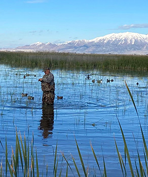 A hunter wades through water and places decoys during a duck hunt at Bear River Migratory Bird Refuge