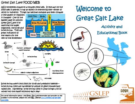 Great Salt Lake: Activity and Educational Book