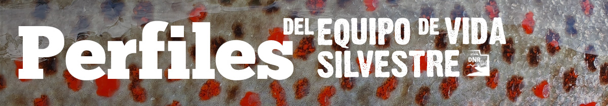 Perfiles del equipo de vida silvestre