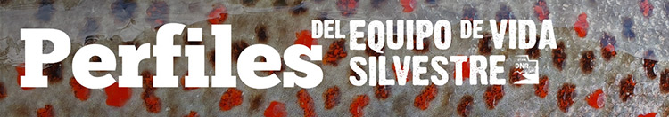 Perfiles del equipo de vida silvestre