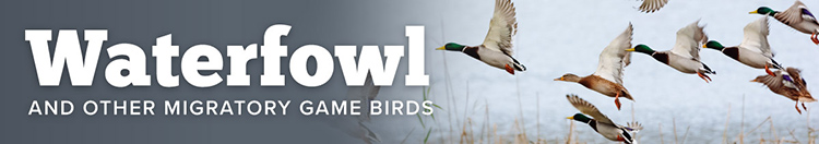 Waterfowl and Migratory Game Birds