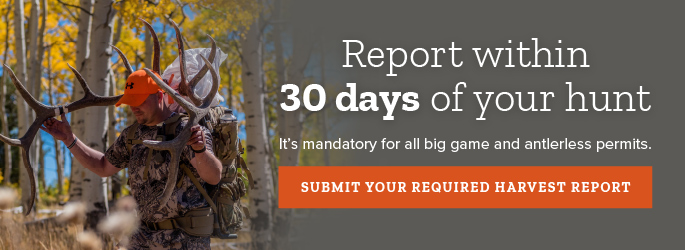 Report your harvest within 30 days of your hunt for deer, elk and antlerless permits.