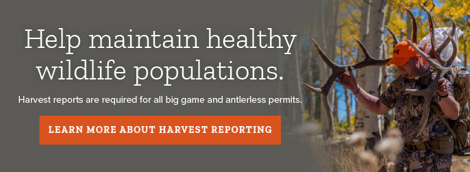 Please complete your hunt harvest report for all big game and antlerless permits.