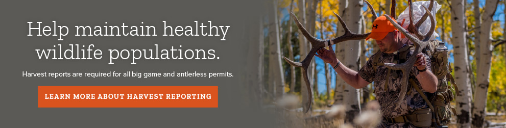 Every hunt tells a story. Please complete your hunt harvest report for all big game and antlerless permits.