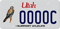 Kestrel (bird) license plate