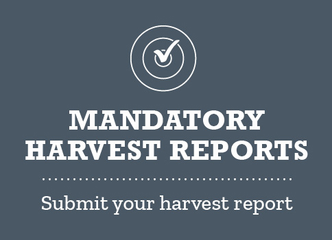 Mandatory harvest reports: Submit your harvest report