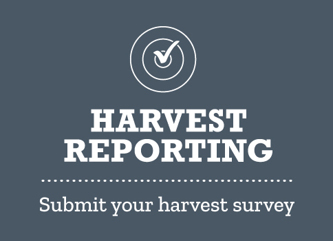 Harvest reporting: Submit your harvest survey