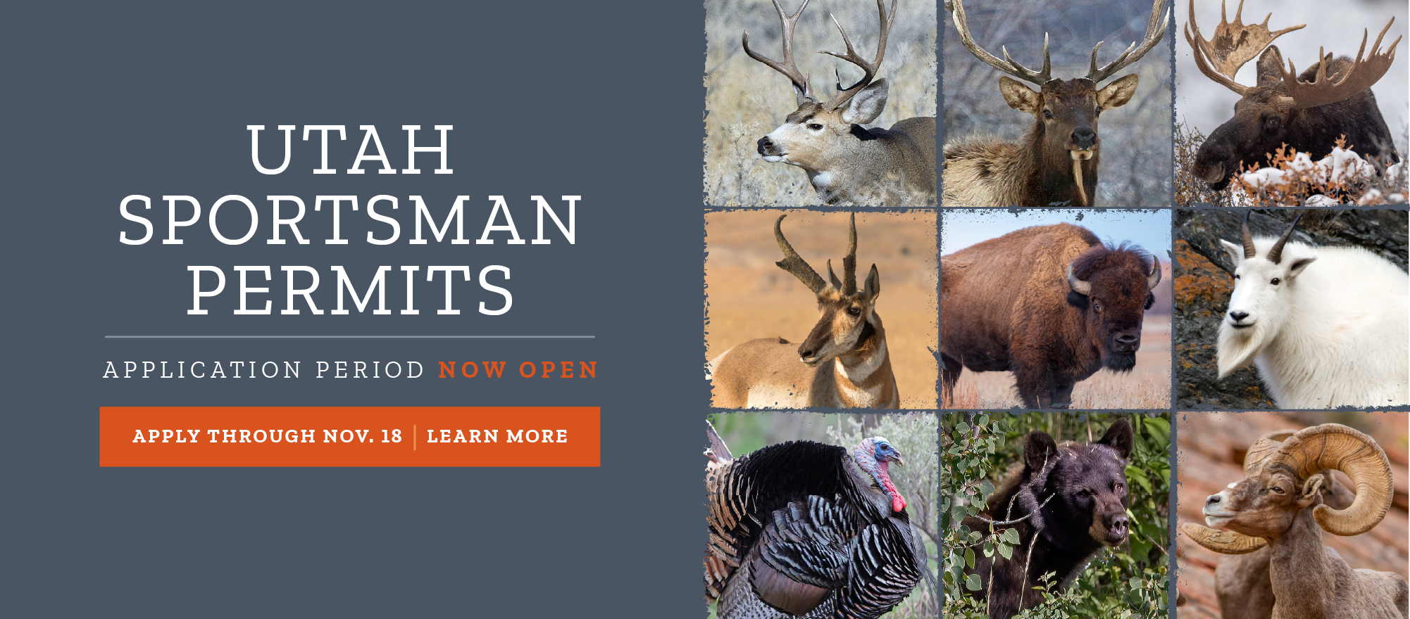 Apply for Utah's sportsman permits
