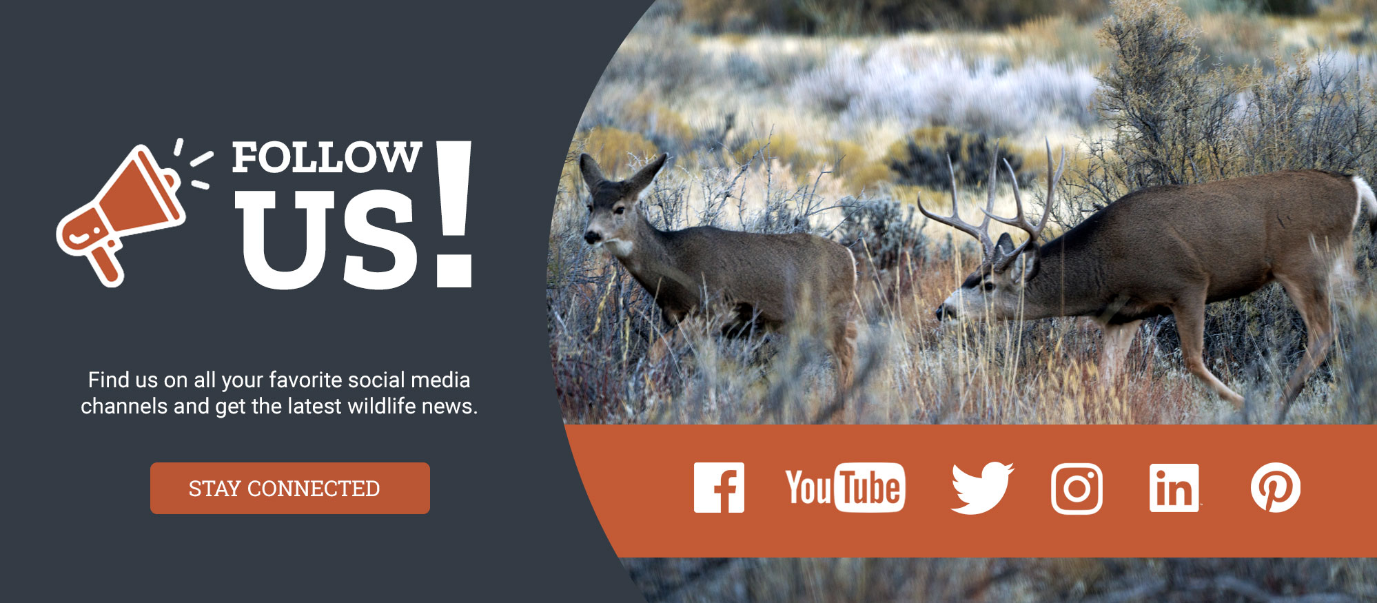 Follow us! Find us on all your favorite social media channels (e.g., Facebook, Twitter, YouTube, Instagram, etc.) and get the latest wildlife news.
