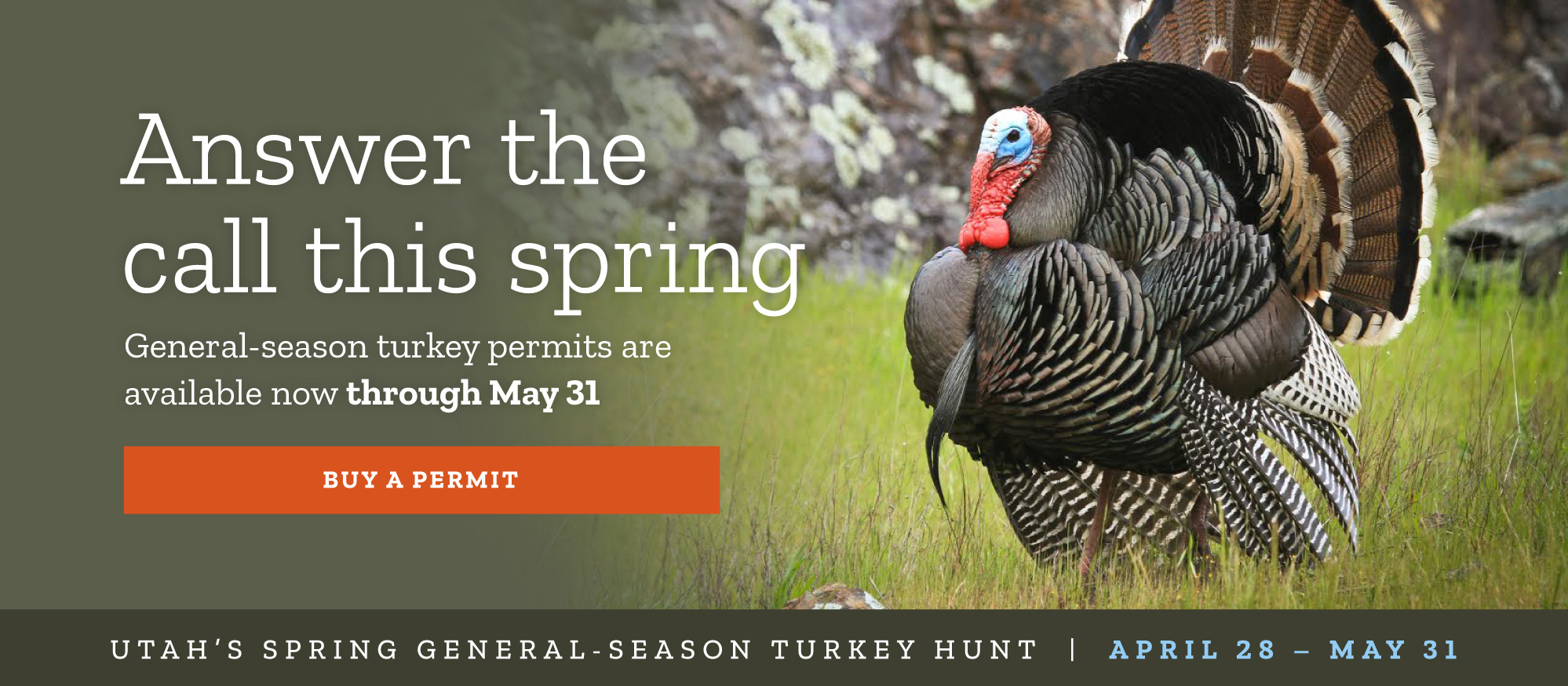 General-season turkey permits now available