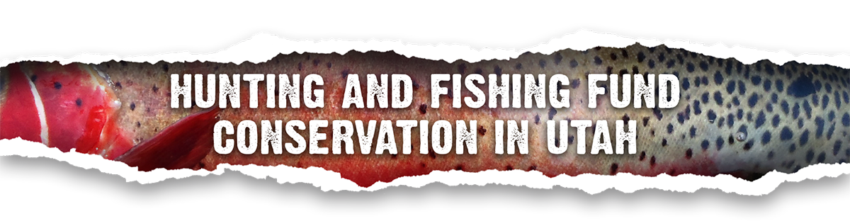 Hunting and fishing fund conservation in Utah