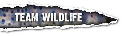 Team Wildlife profile