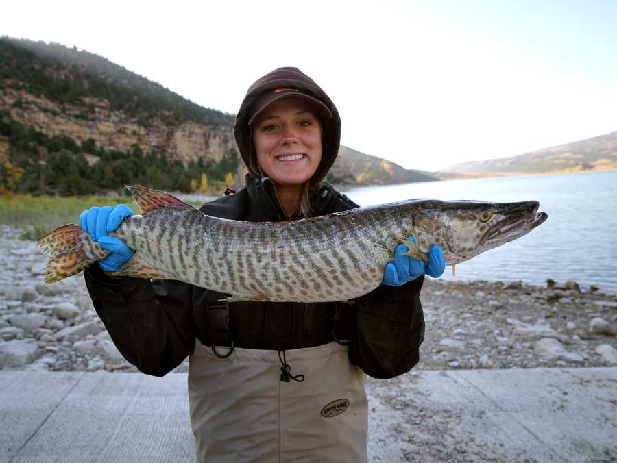 Fishing Hoodie Green River Brown Trout