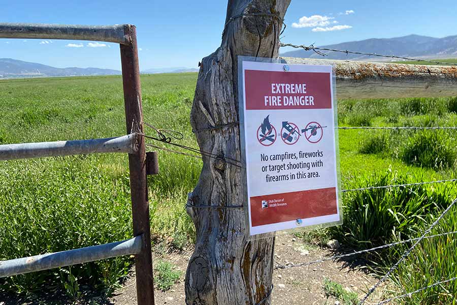 Are Bottle Rockets a Serious Fire Danger?