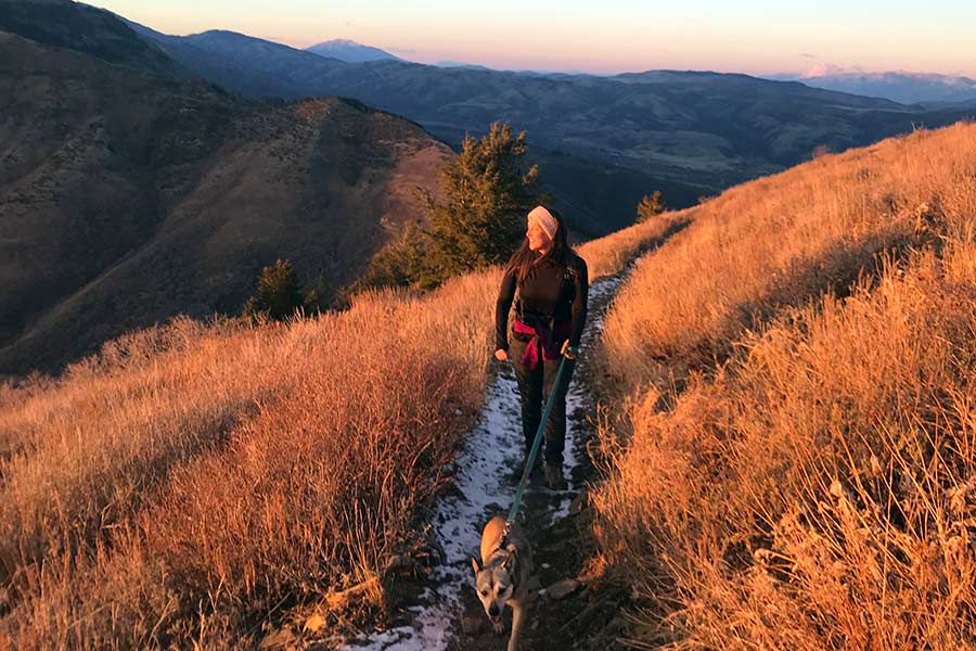 Hiker in the mountains with a dog