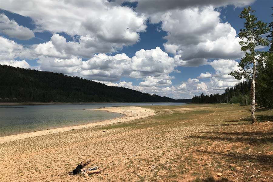 How the DWR uses conservation pools to help fish during drought years