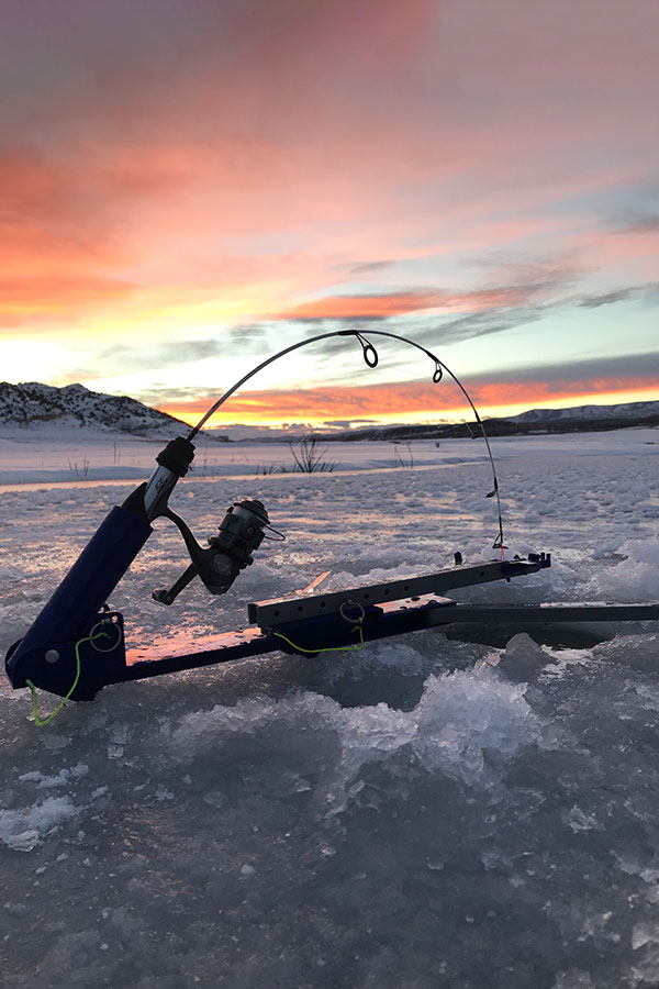 Ice fishing gear for far and near, Wildlife