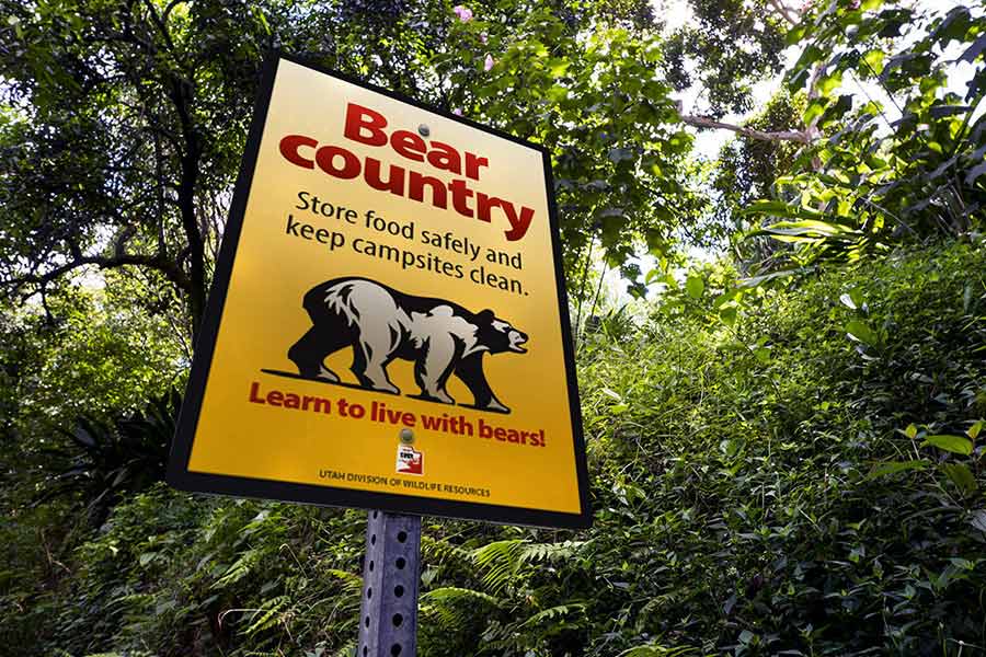 Sign posted in the forest that says, "Bear Country: Store food safely and keep campsites clean. Learn to live with bears!"