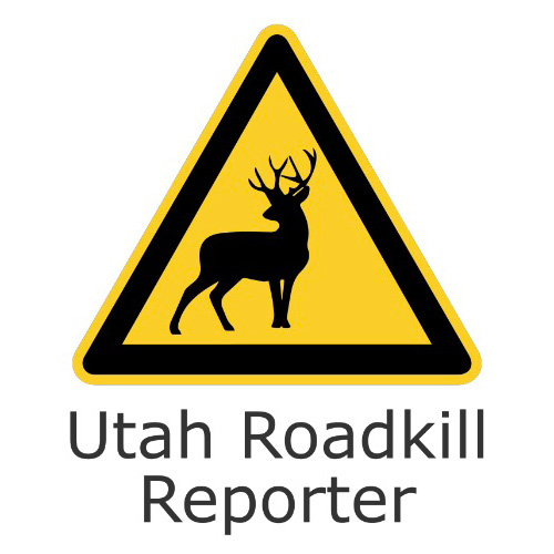 Utah Roadkill Reporter