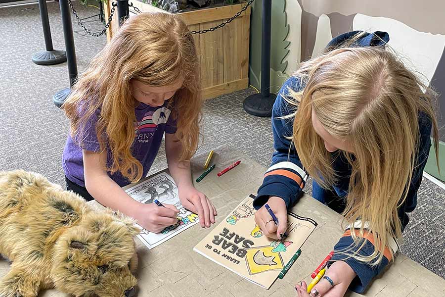 Two girls coloring bear safety pictures at a table in front of a stuffed bear inside the Hardware Wildlife Education Center