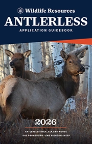 Utah Antlerless Application Guidebook